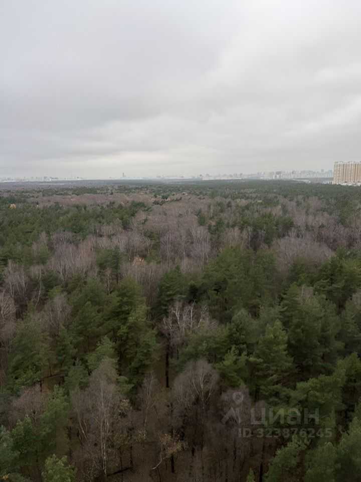 2-комнатная квартира, 80 м² — фотография 2