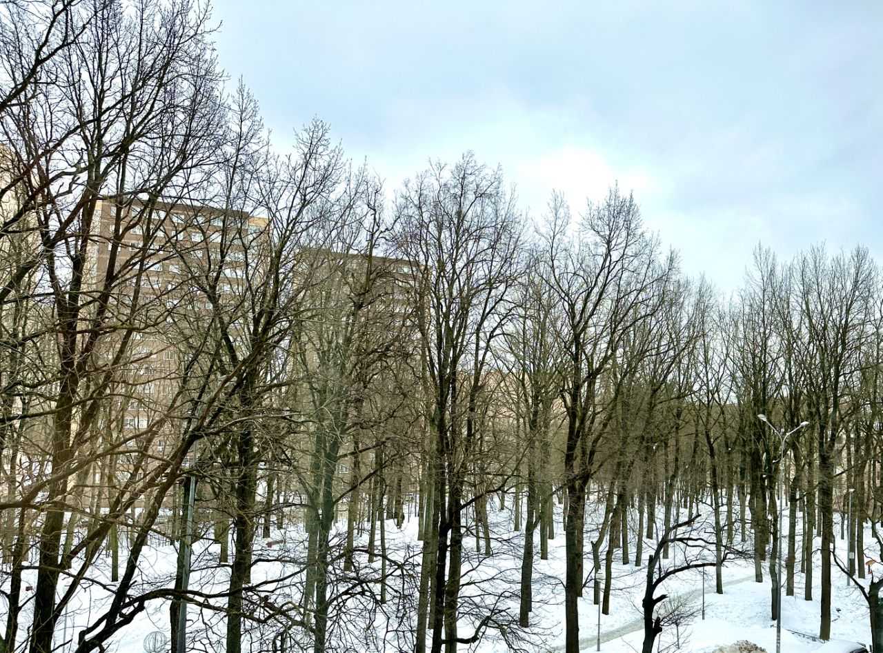 1-комнатная квартира, 45 м² — фотография 3
