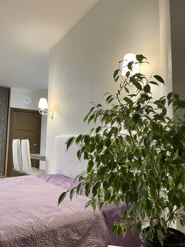 1-комнатная квартира, 56 м² — фотография 3