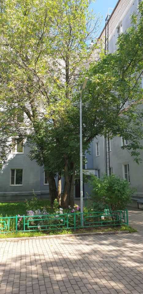 2-комнатная квартира, 51 м²
