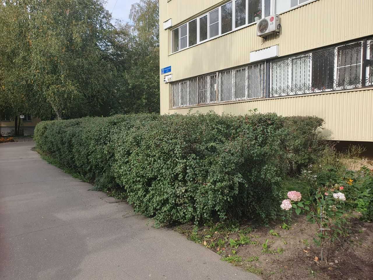 2-комнатная квартира, 66 м² — фотография 3