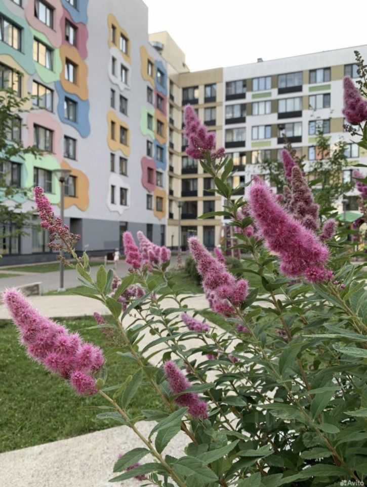 2-комнатная квартира, 40,2 м² — фотография 2