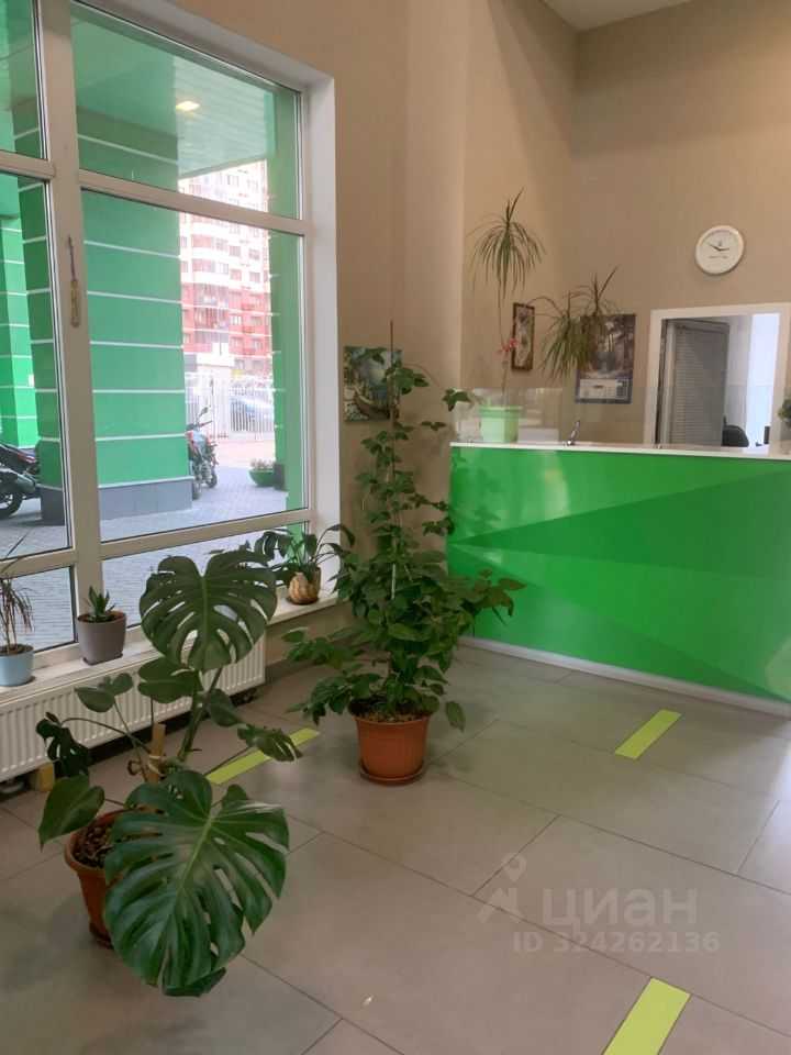 2-комнатная квартира, 61 м² — фотография 2