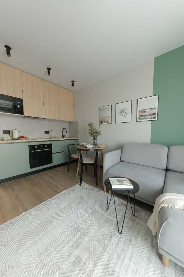1-комнатная квартира, 24 м²