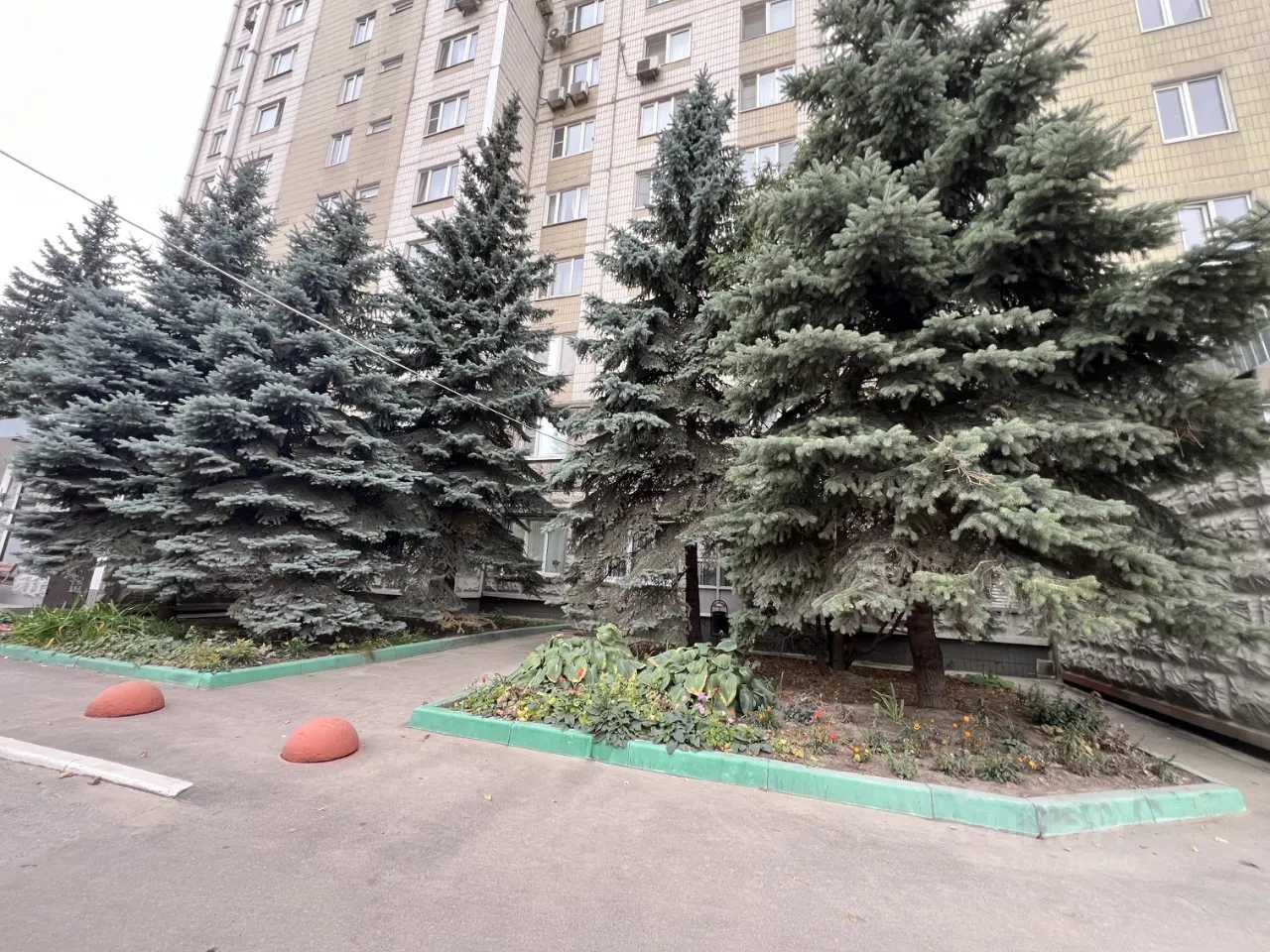 2-комнатная квартира, 50 м² — фотография 2