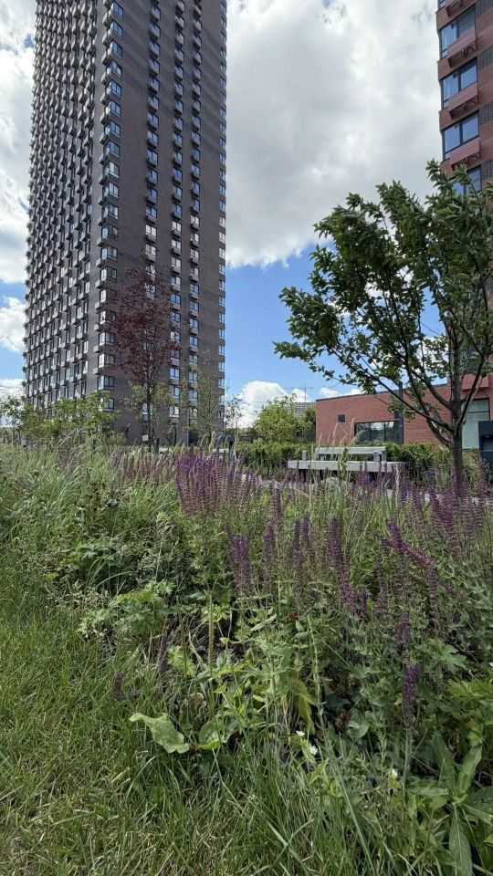 2-комнатная квартира, 35,3 м² — фотография 2