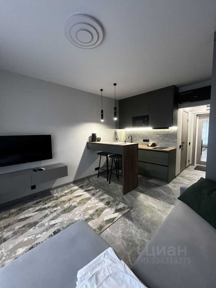 1-комнатная квартира, 20,2 м²