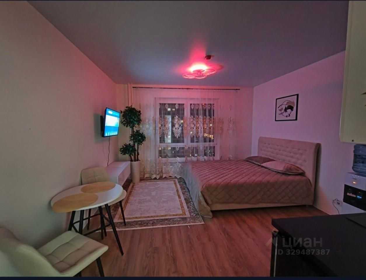 1-комнатная квартира, 24 м² — фотография 2