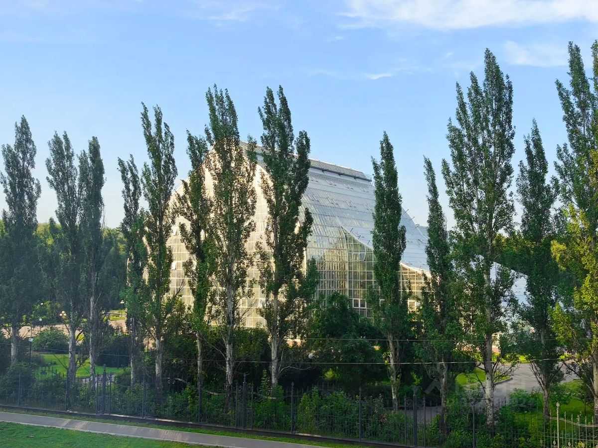 1-комнатная квартира, 39 м² — фотография 2