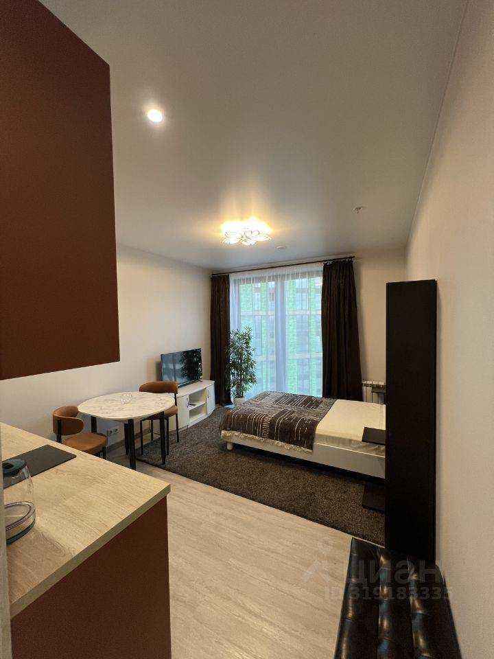 1-комнатная квартира, 24 м² — фотография 3