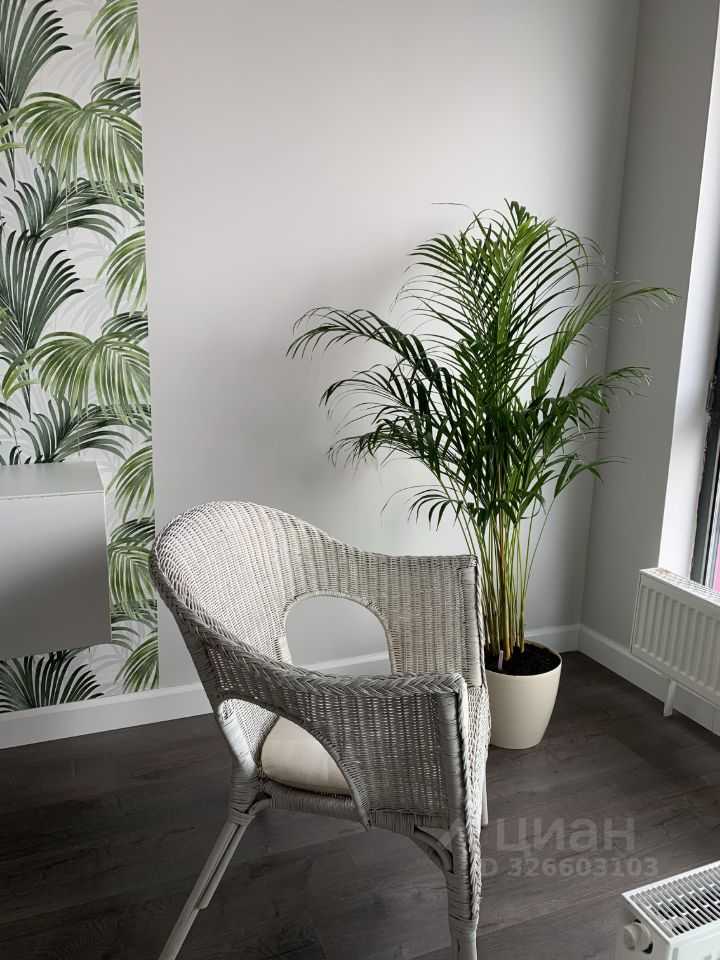 1-комнатная квартира, 33 м² — фотография 2