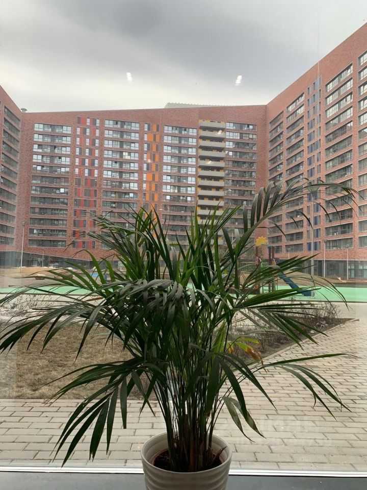 1-комнатная квартира, 30 м² — фотография 2