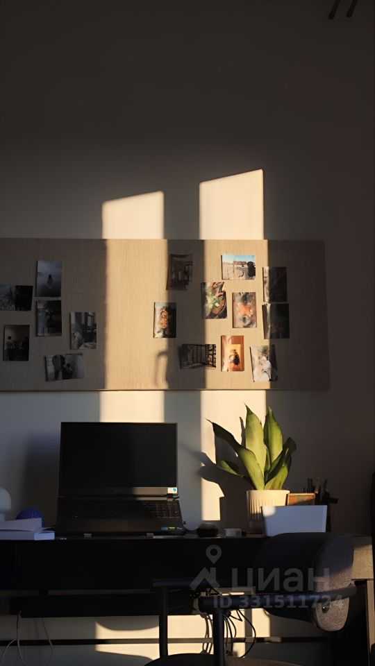 1-комнатная квартира, 25 м²