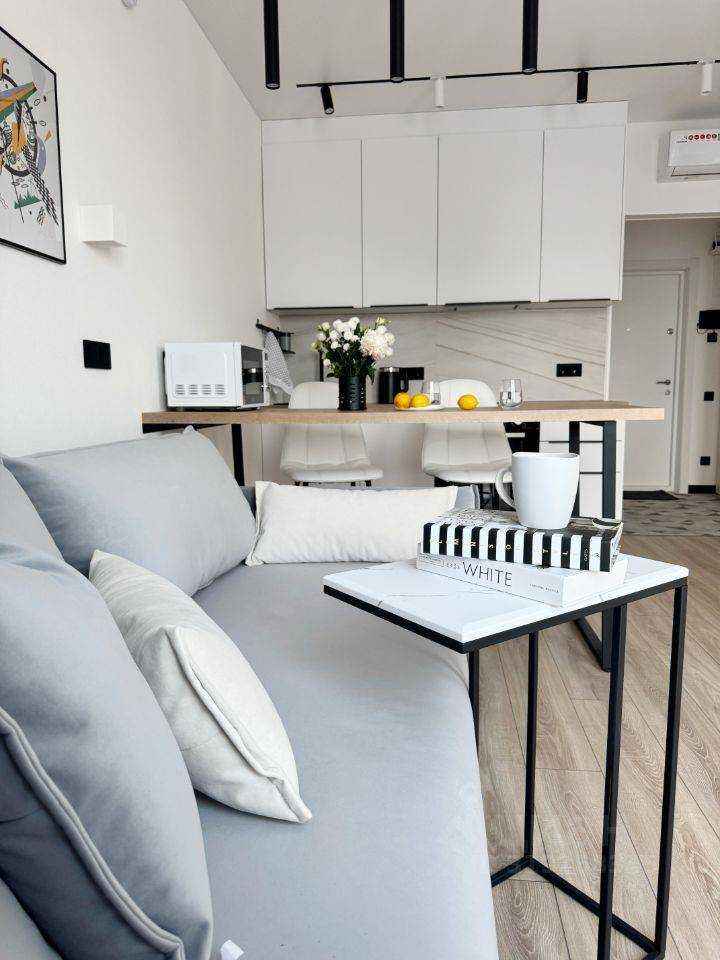 1-комнатная квартира, 26,7 м²