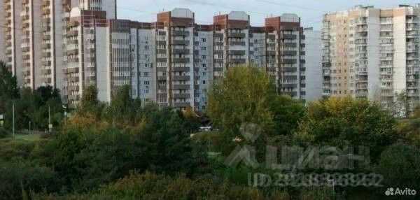 2-комнатная квартира, 79 м² — фотография 3