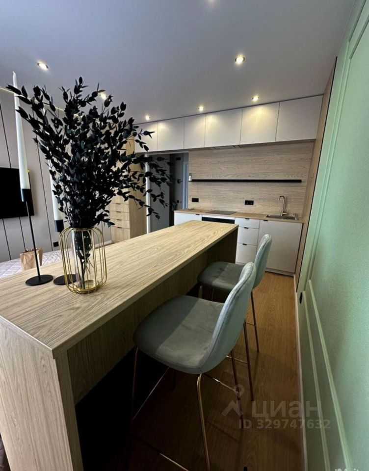 1-комнатная квартира, 24,1 м²