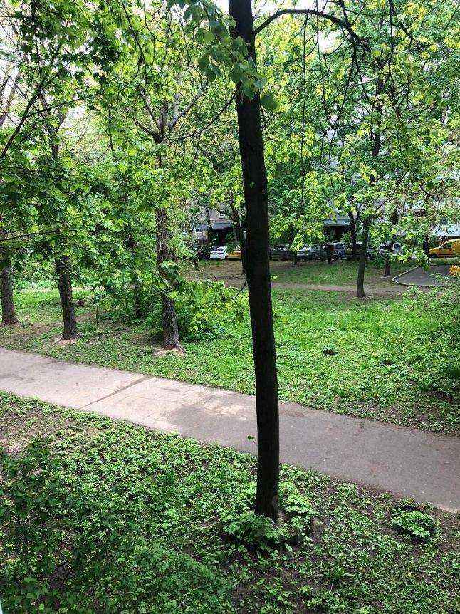 2-комнатная квартира, 46 м² — фотография 3