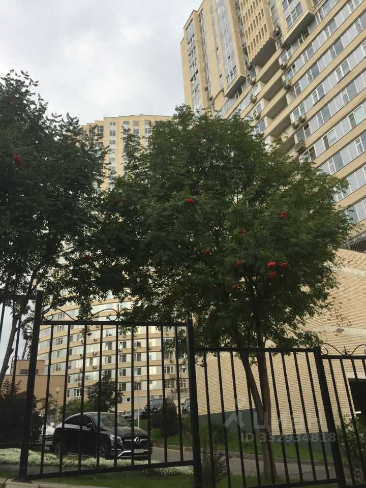 1-комнатная квартира, 50 м² — фотография 3