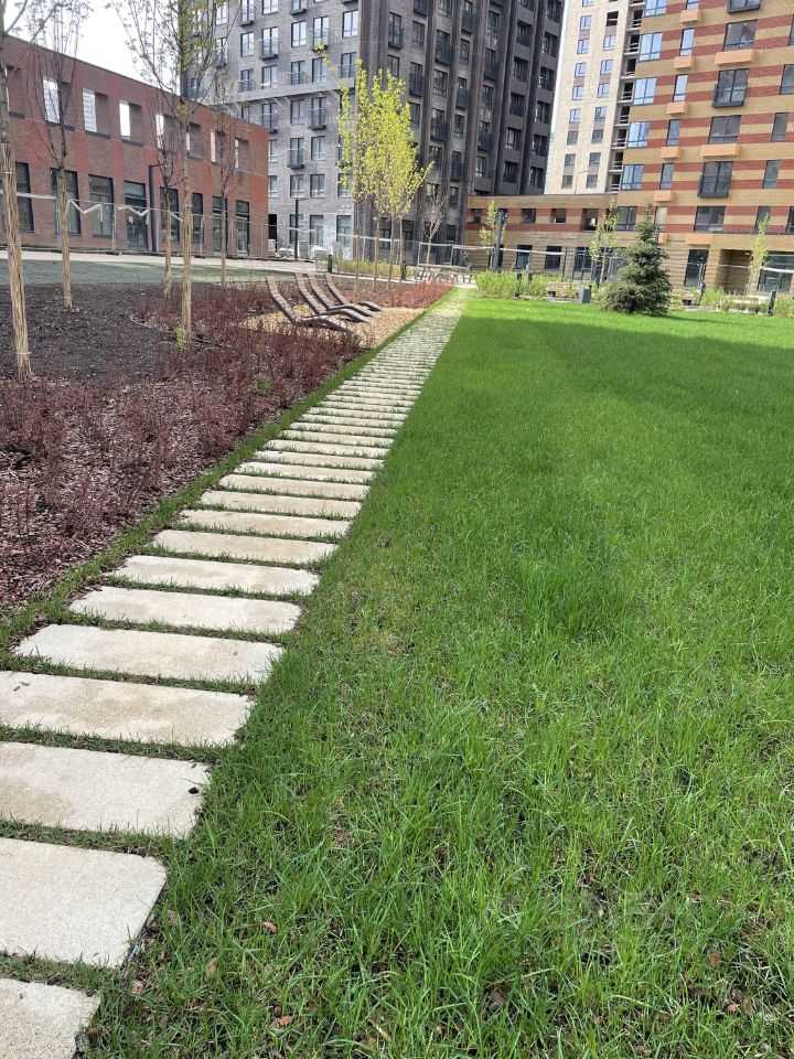 3-комнатная квартира, 54 м² — фотография 3