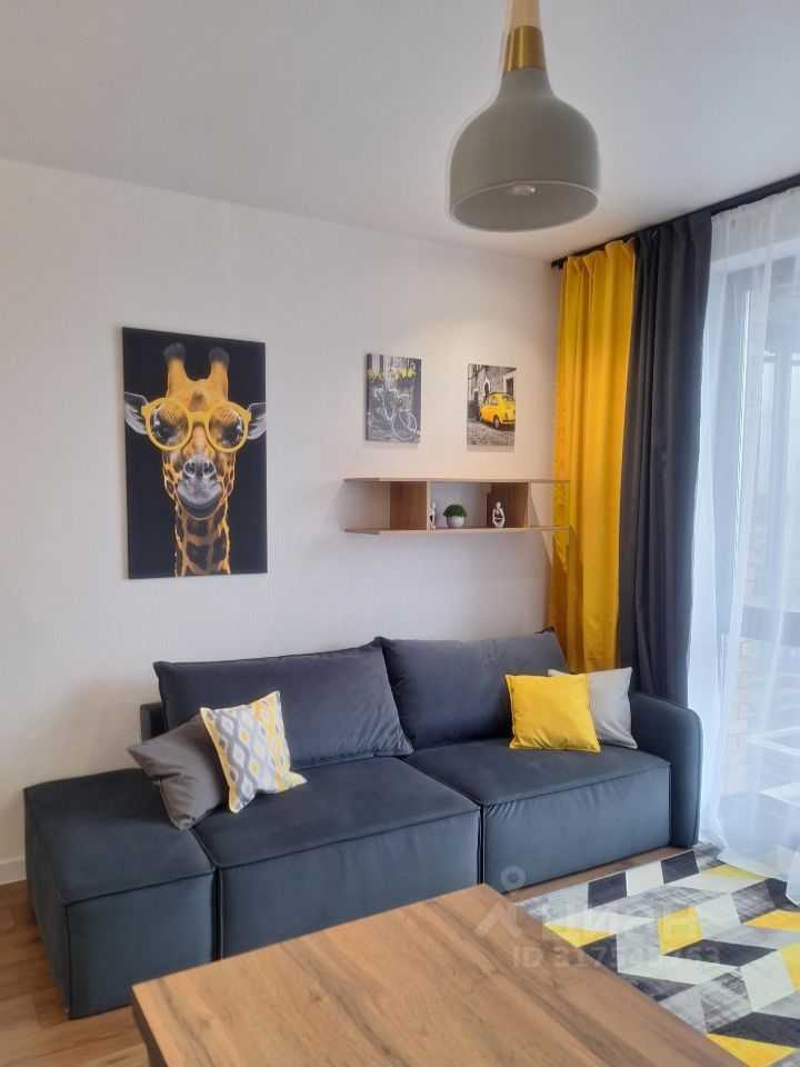 1-комнатная квартира, 24 м² — фотография 2