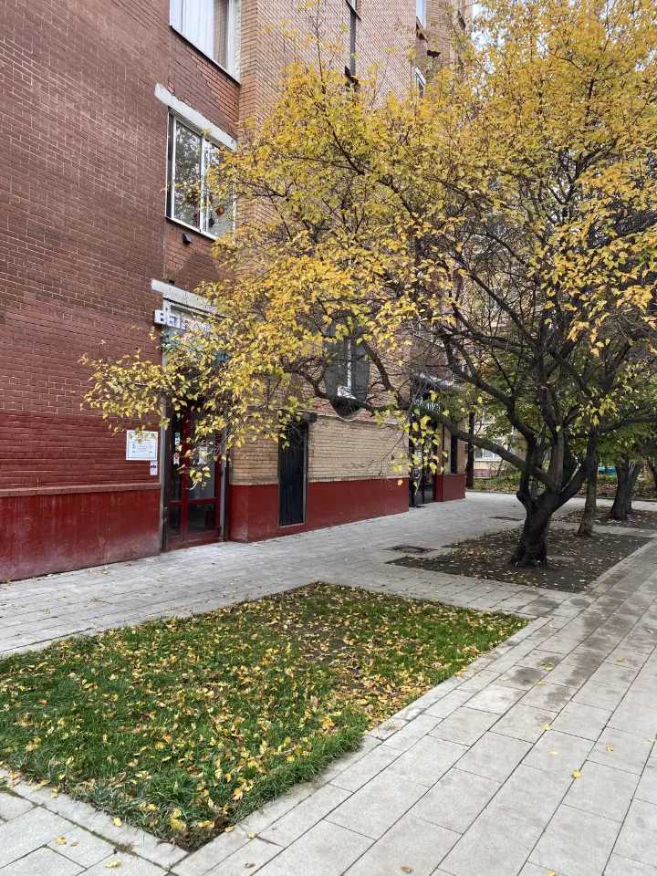 2-комнатная квартира, 60 м² — фотография 2