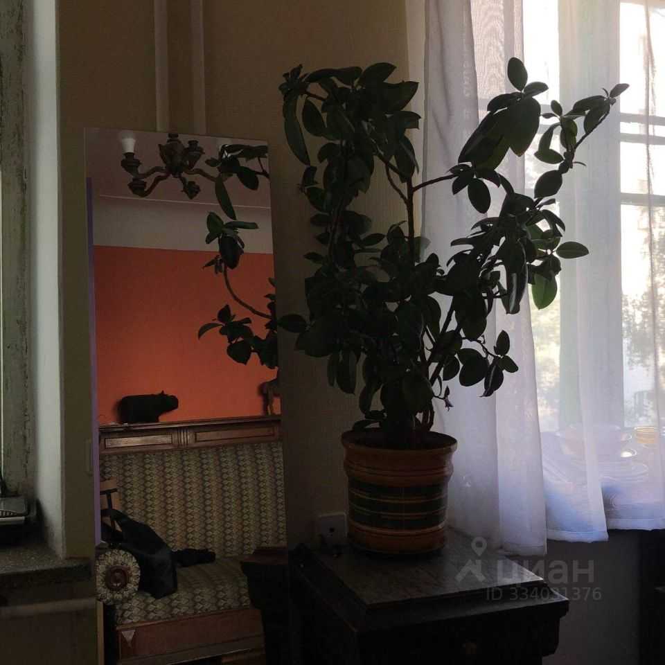2-комнатная квартира, 46 м² — фотография 3