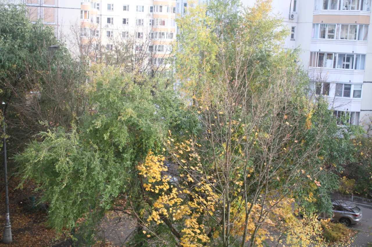 1-комнатная квартира, 35,6 м² — фотография 2