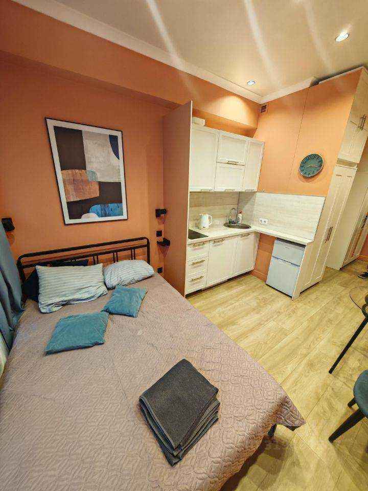 1-комнатная квартира, 19 м² — фотография 2