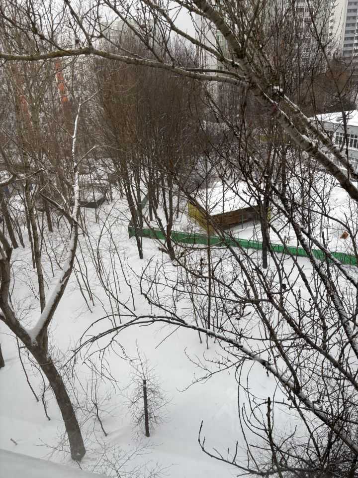 2-комнатная квартира, 48 м² — фотография 2
