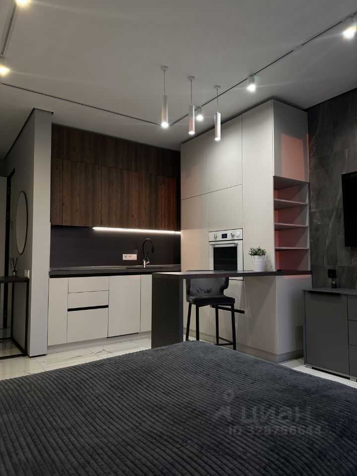 1-комнатная квартира, 24 м²