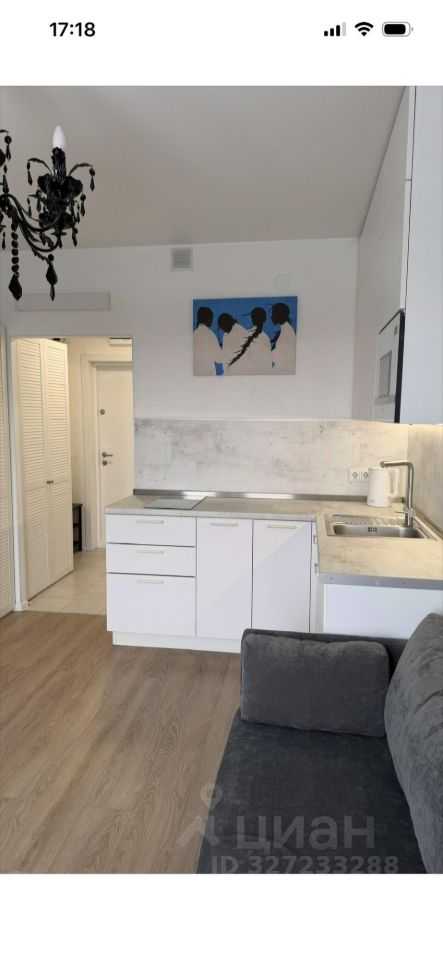 1-комнатная квартира, 20 м² — фотография 3
