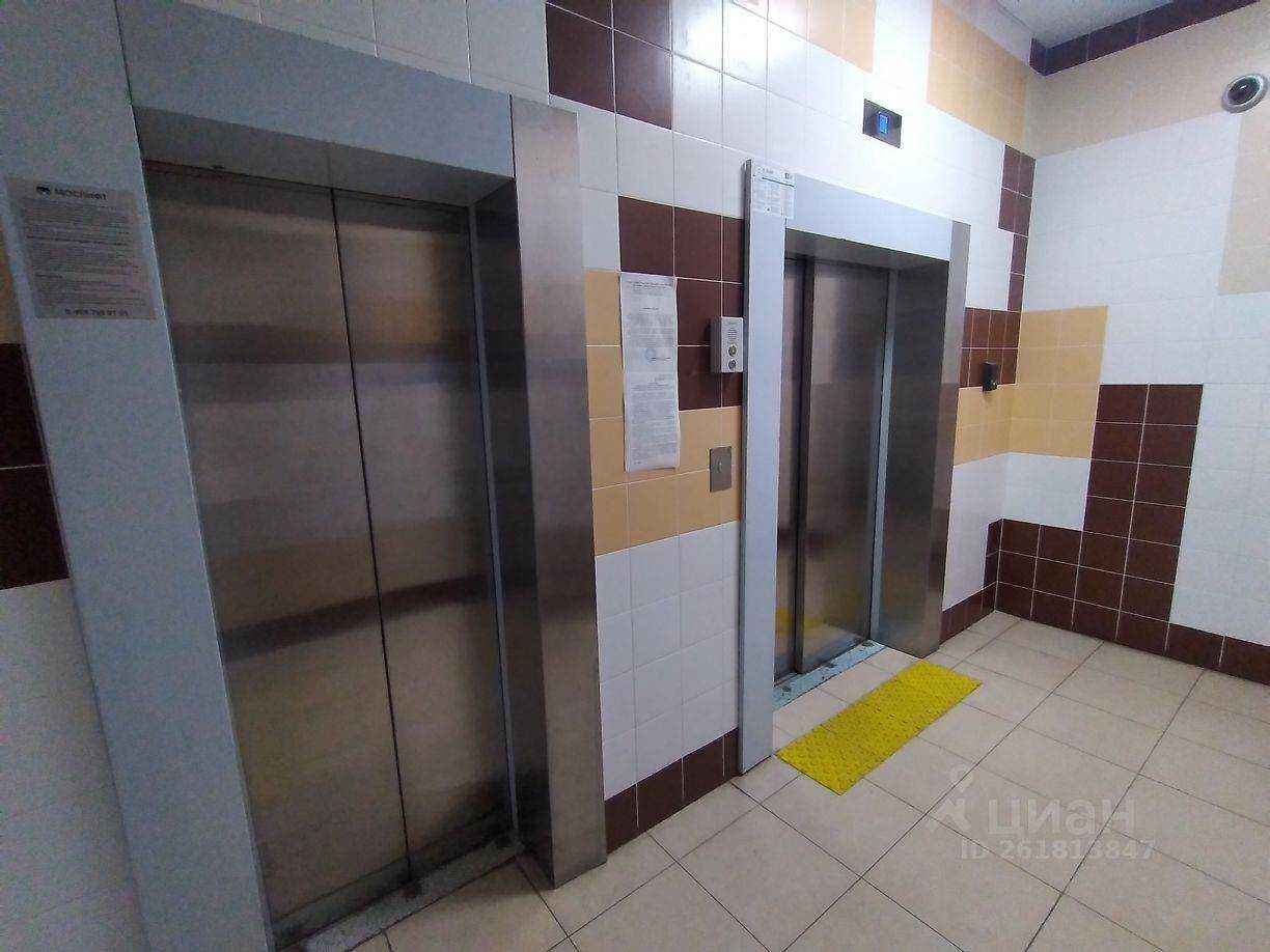 2-комнатная квартира, 53,6 м²