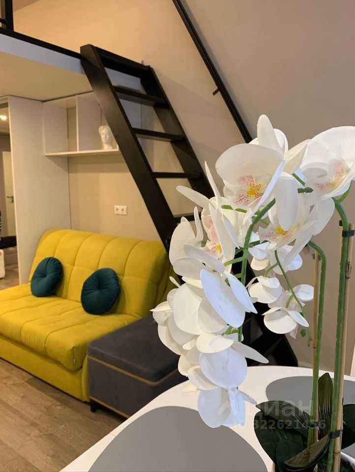 1-комнатная квартира, 22,4 м² — фотография 3