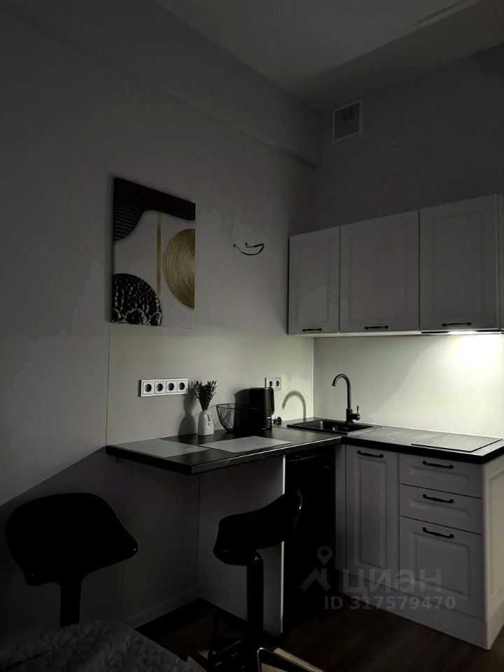 1-комнатная квартира, 17 м² — фотография 3