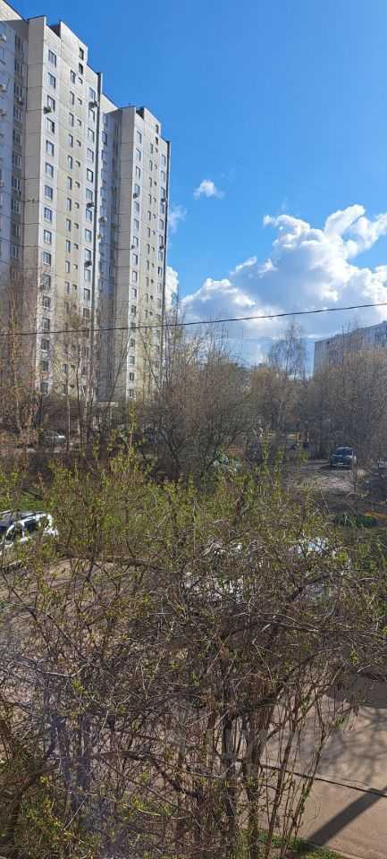 2-комнатная квартира, 53,5 м² — фотография 2