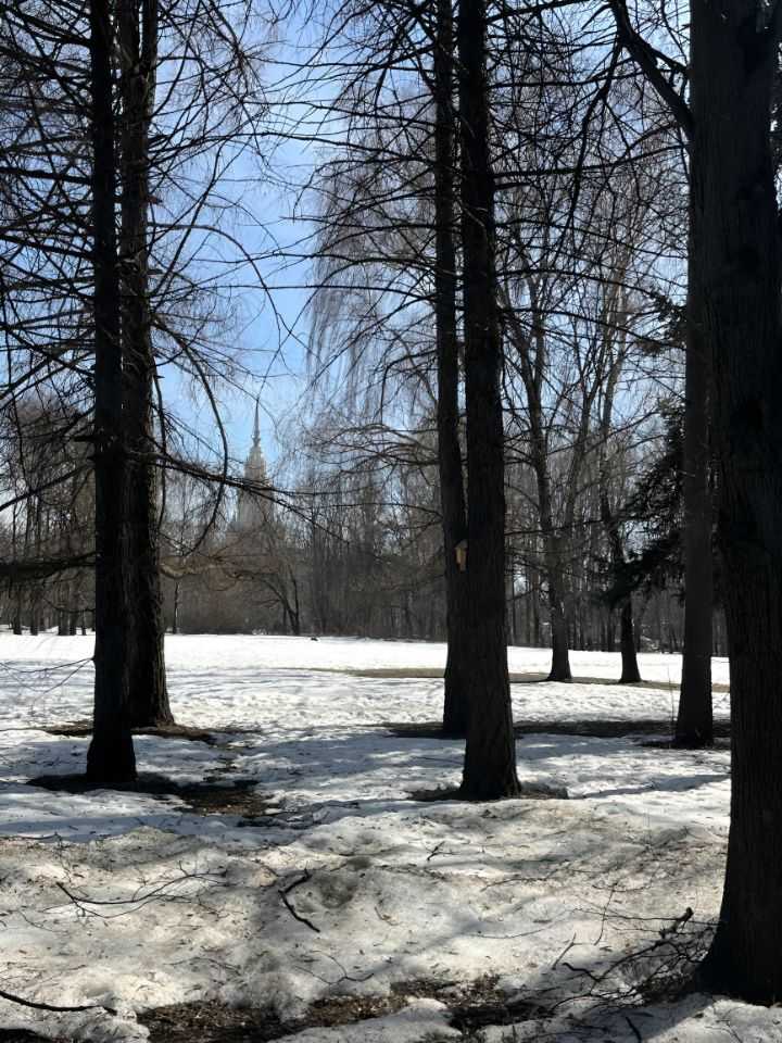 1-комнатная квартира, 43 м²