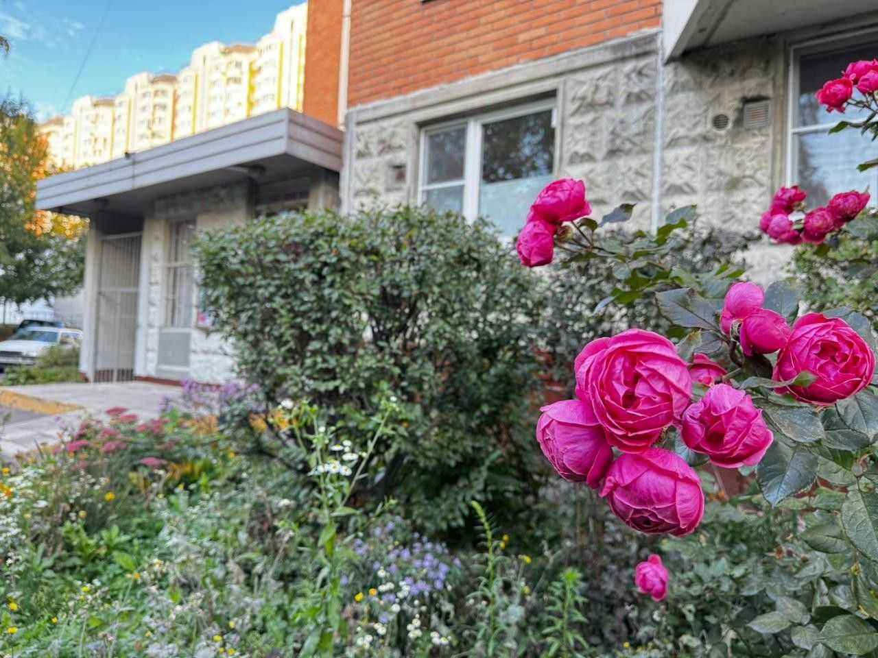 3-комнатная квартира, 82 м²