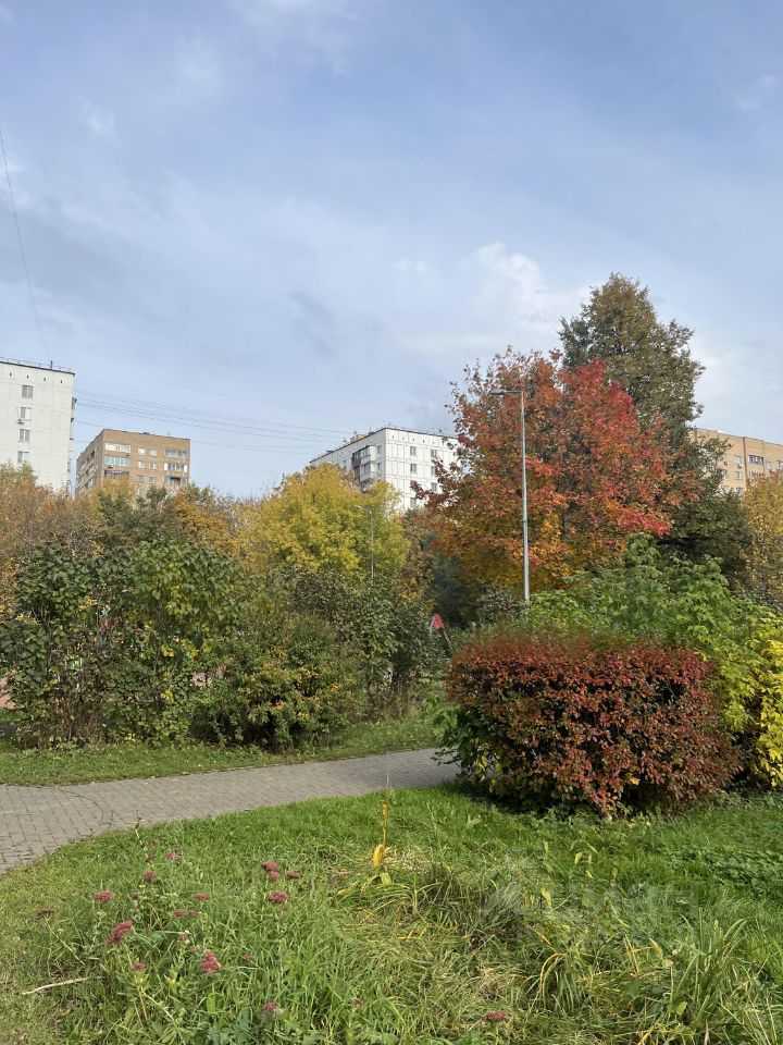2-комнатная квартира, 47 м² — фотография 2