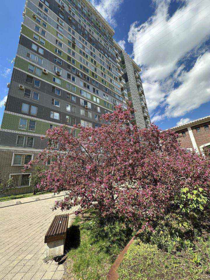 1-комнатная квартира, 33,3 м² — фотография 3