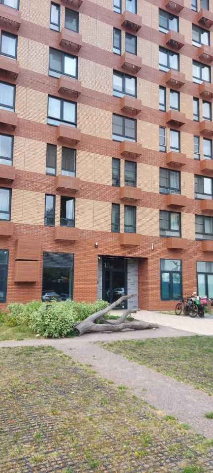 1-комнатная квартира, 26 м² — фотография 2