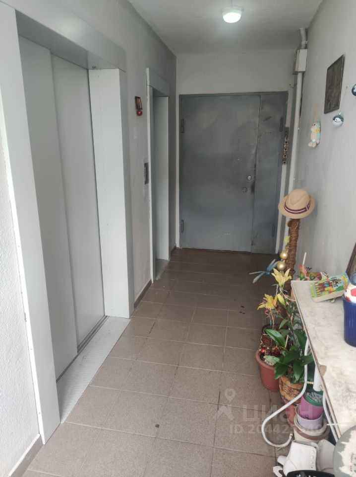 2-комнатная квартира, 54,2 м² — фотография 3