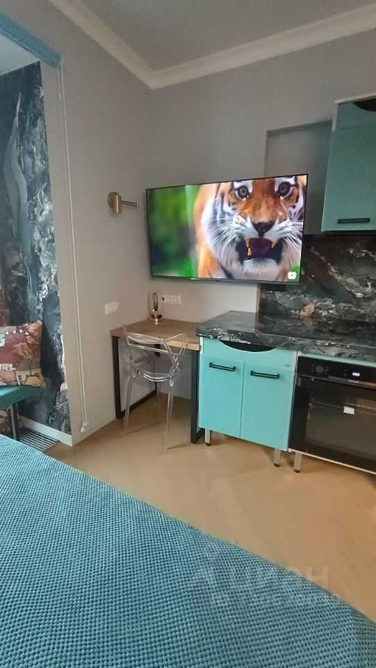 1-комнатная квартира, 29 м² — фотография 3