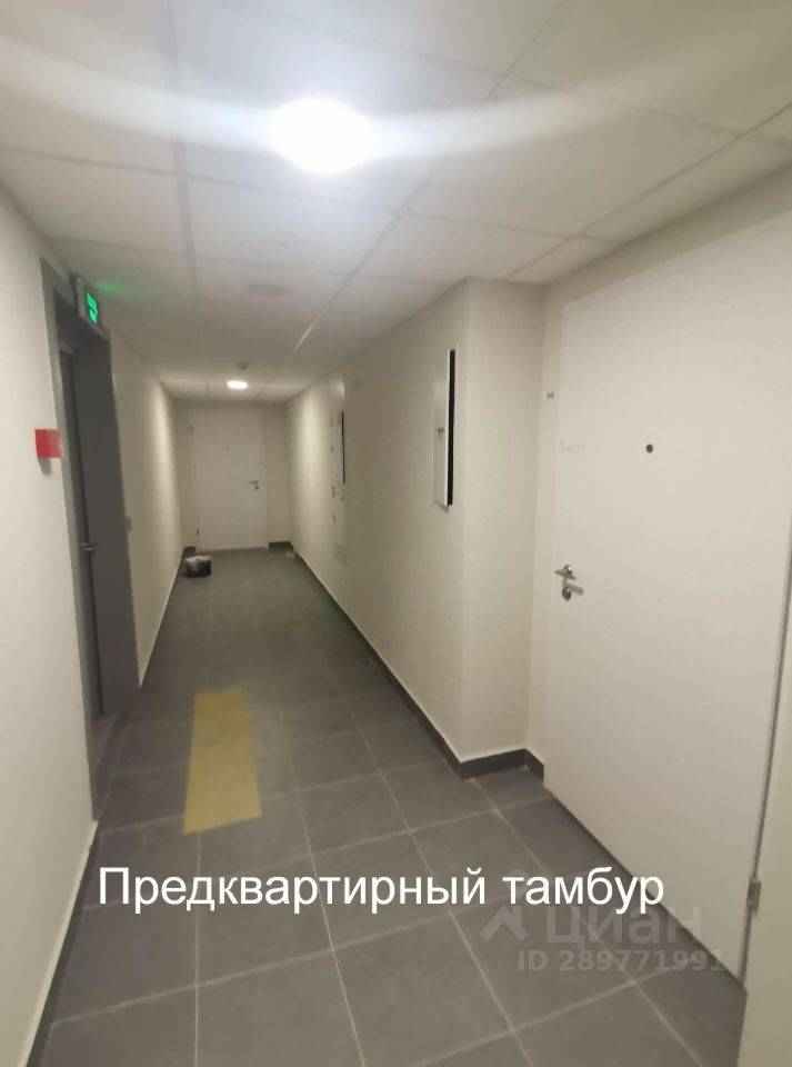 2-комнатная квартира, 54 м² — фотография 3