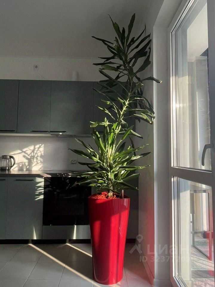 1-комнатная квартира, 42 м² — фотография 2