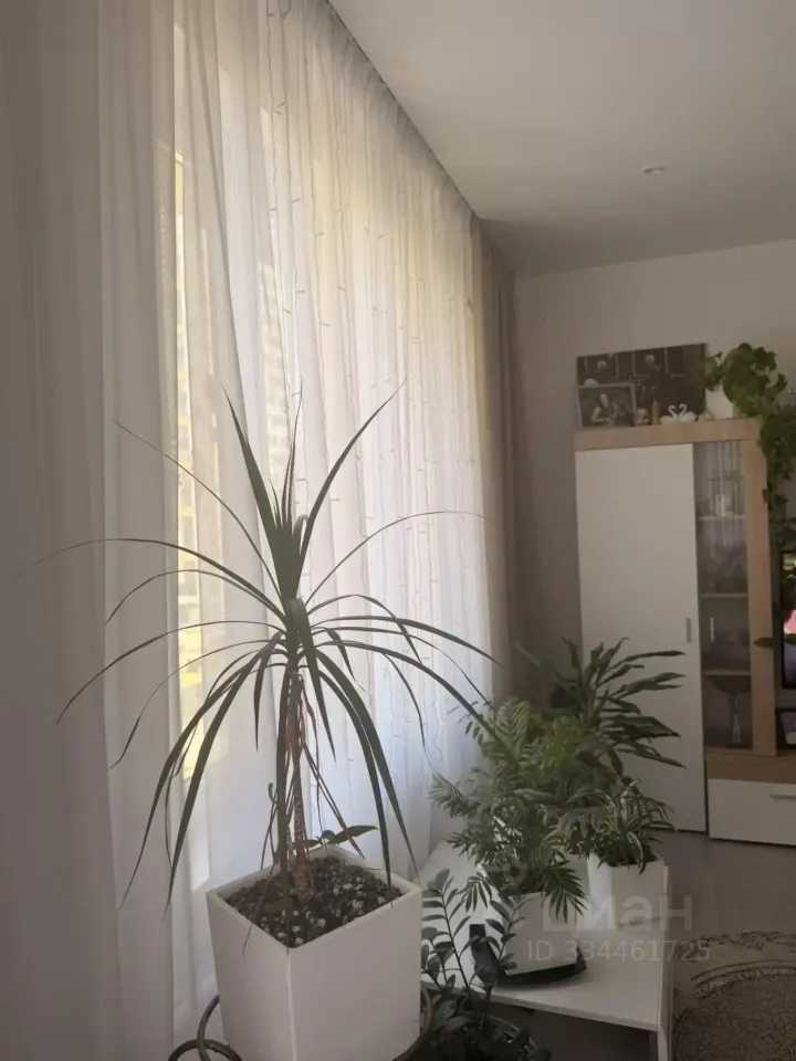2-комнатная квартира, 44,2 м² — фотография 2