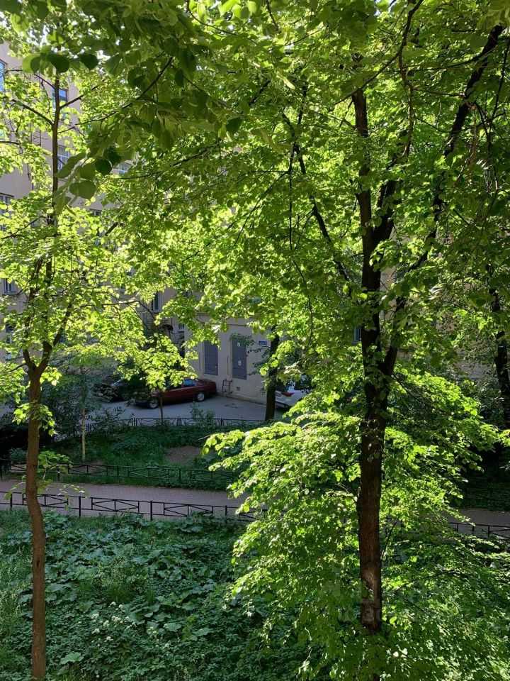 2-комнатная квартира, 54,5 м² — фотография 3