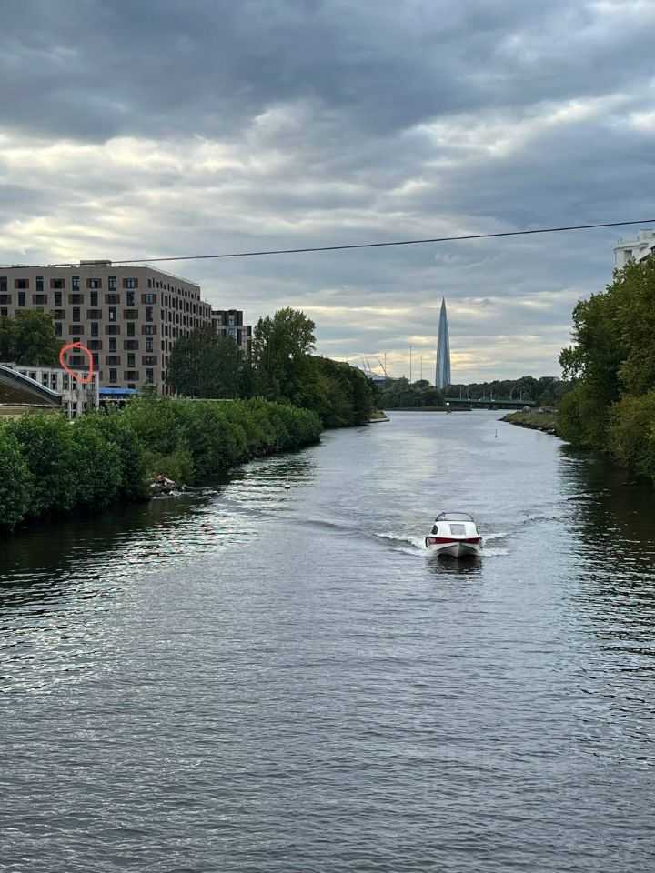 1-комнатная квартира, 24 м² — фотография 3