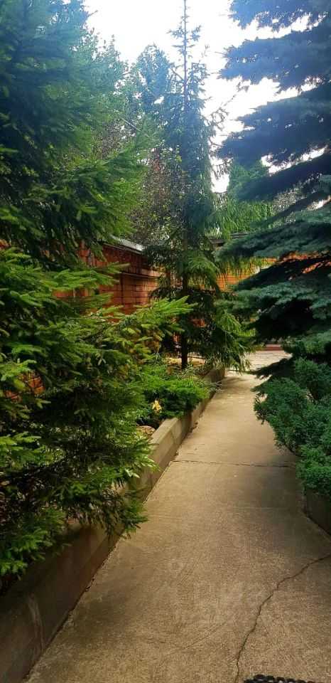 5-комнатная квартира, 225 м²