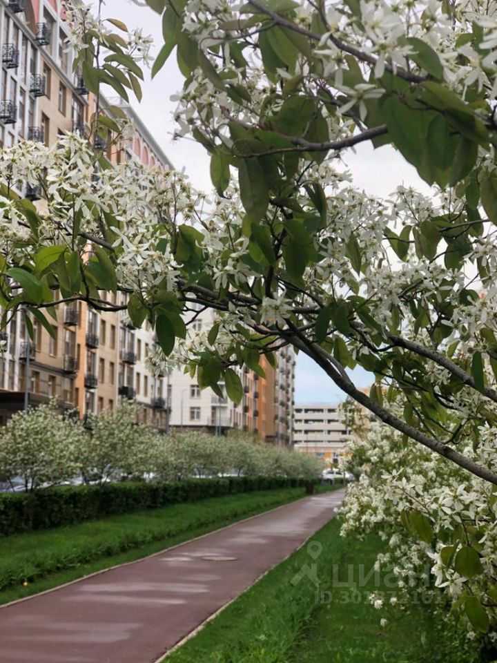 2-комнатная квартира, 48 м² — фотография 2