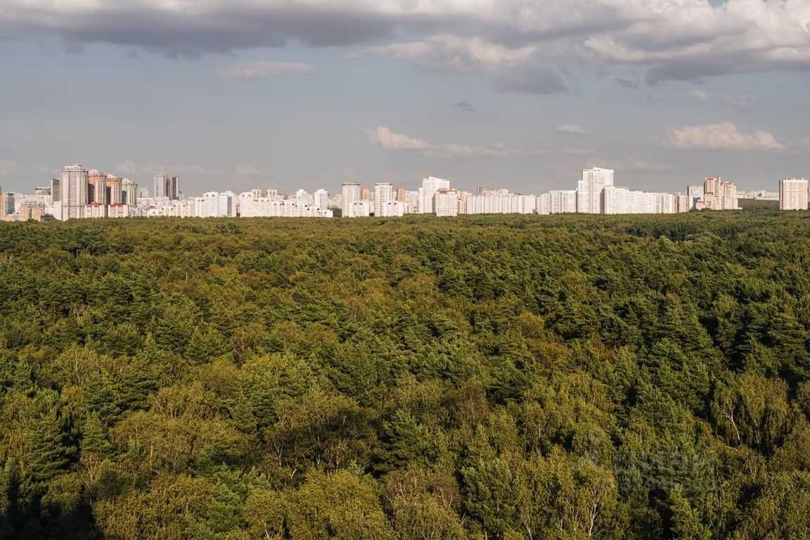 3-комнатная квартира, 60 м² — фотография 3